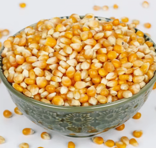 yellow corn